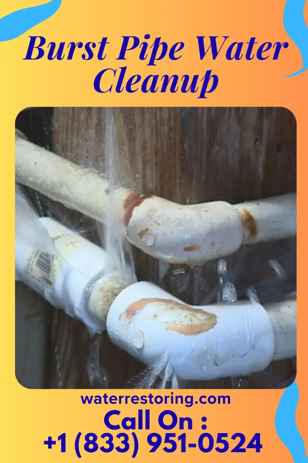 Burst Pipe Water Cleanup in McElhattan, PA