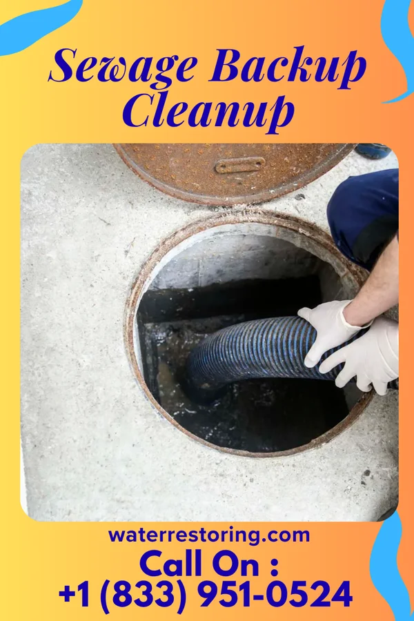 Sewage Backup Cleanup in McElhattan, PA
